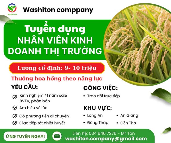 NHÂN VIÊN KINH DOANH THỊ TRƯỜNG
