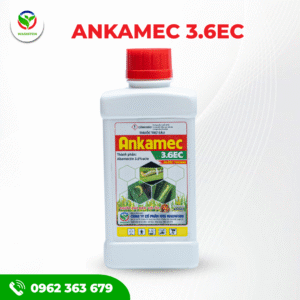 ANKAMEC 3.6EC