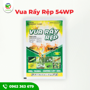 Vua Rầy Rệp 54WP