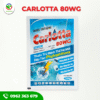 CARLOTTA 80WG