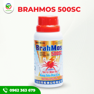 BRAHMOS 500SC