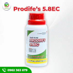 PRODIFE's 5.8EC