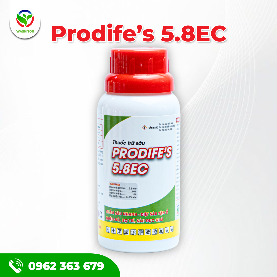 PRODIFE's 5.8EC