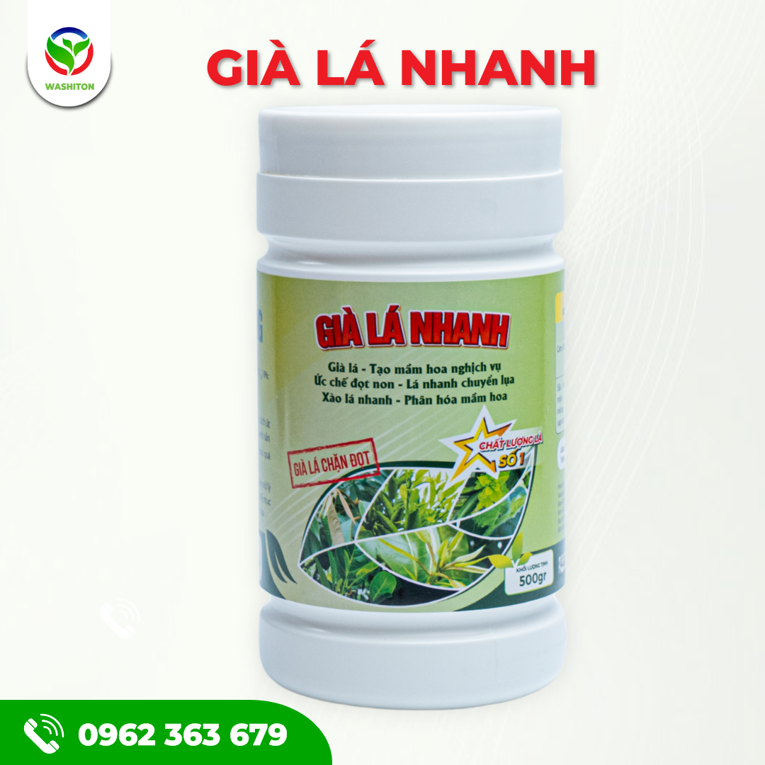 Già lá nhanh - Thuốc chặn đọt Sầu Riêng