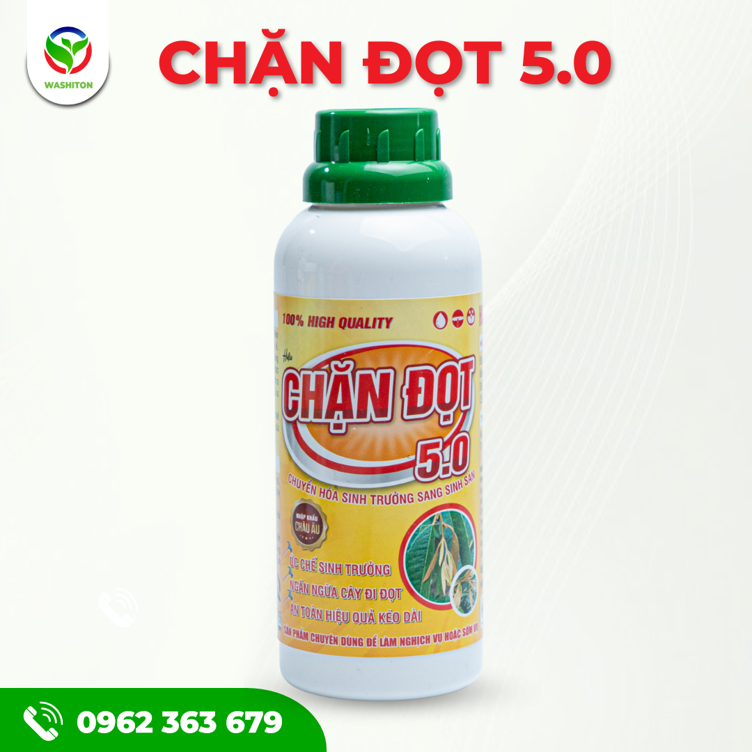 CHẶN ĐỌT 5.0 - Thuốc chặn đọt Sầu Riêng