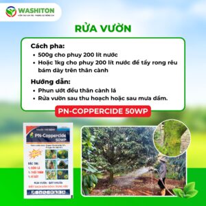 Thuốc rửa vườn sầu riêng PN-Coppercide 50WP giúp tẩy rong rêu, ngừa nấm bệnh sau thu hoạch