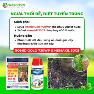 Ngừa thối rễ sầu riêng, diệt tuyến trùng bằng Romid Gold 720WP và Nemakil 30CS giúp cây khỏe mạnh sau thu hoạch