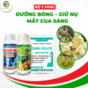 BỘ 3 VÀNG - DƯỠNG BÔNG, GIỮ NỤ, MẮT CUA SÁNG