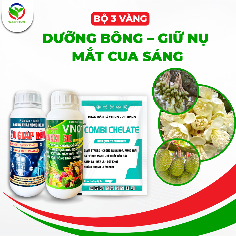 BỘ 3 VÀNG - DƯỠNG BÔNG, GIỮ NỤ, MẮT CUA SÁNG