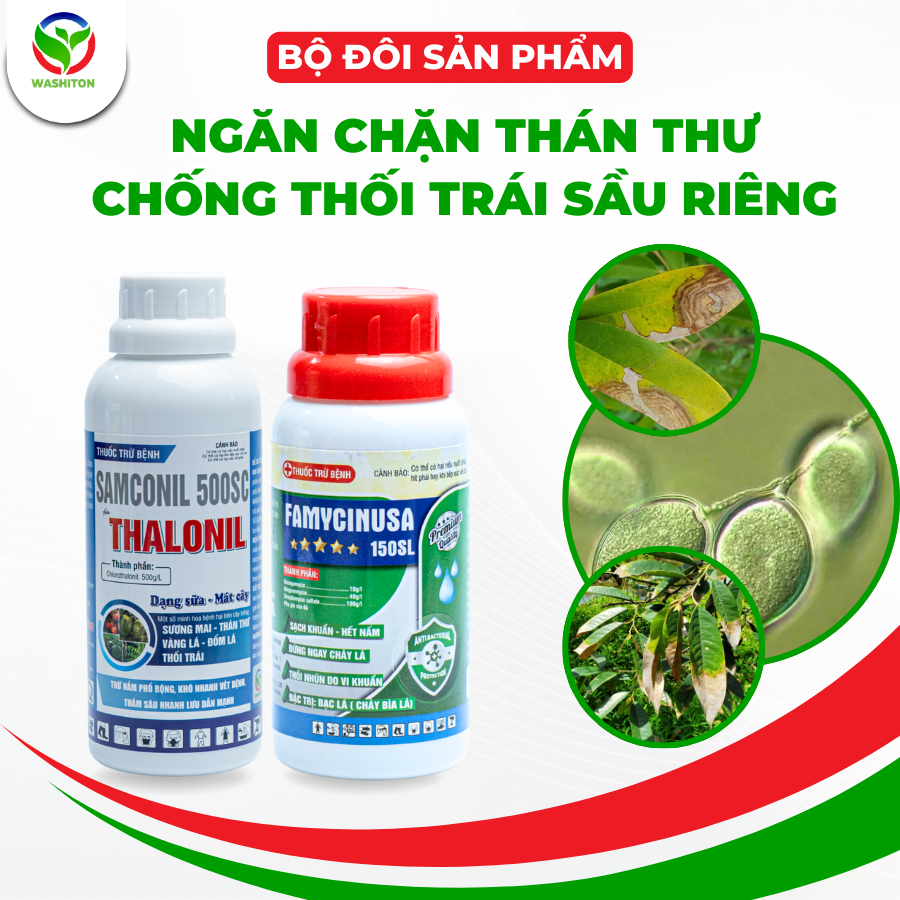 NGĂN CHẶN THÁN THƯ - CHỐNG THỐI TRÁI SẦU RIÊNG