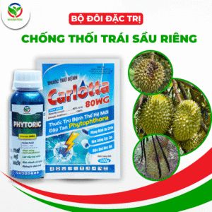 CHỐNG THỐI RỄ SẦU RIÊNG