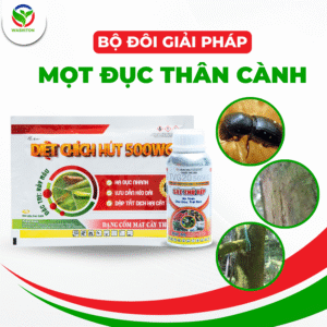 Bộ đôi mọt đục cành thân