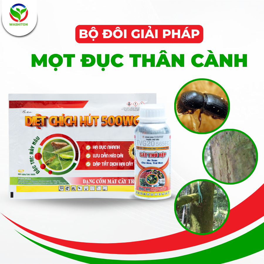 Bộ đôi mọt đục cành thân