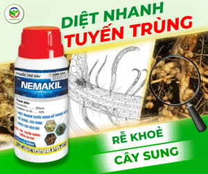 Nemakil - Đặc trị tuyến trùng - Đại Lý Thuốc bảo vệ thực vật