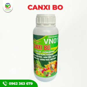 CANXI BO - - DƯỠNG BÔNG, GIỮ NỤ, MẮT CUA SÁNG