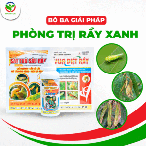 Bộ ba giải pháp trị rầy xanh