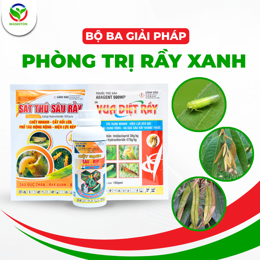 Bộ ba giải pháp trị rầy xanh