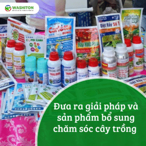 Tư vấn, hướng dẫn sử dụng sản phẩm Washiton