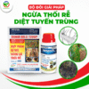 Bộ giải pháp ngừa thối rễ tuyến trùng