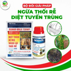 Bộ giải pháp ngừa thối rễ tuyến trùng