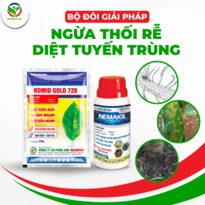 Bộ giải pháp ngừa thối rễ tuyến trùng - Phục hồi vườn sầu riêng sau thu hoạch