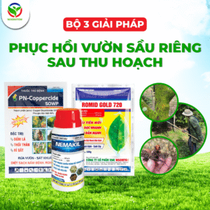Bộ phục hồi vườn sầu riêng sau thu hoạch – Romid Gold 720WP và Nemakil 30CS
