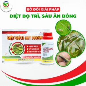 Bộ đôi giải pháp bọ trĩ sâu ăn bông