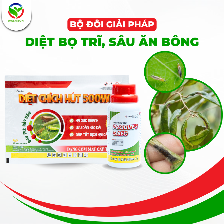 Bộ đôi giải pháp bọ trĩ sâu ăn bông
