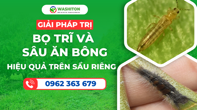Thuốc trị bọ trĩ & sâu ăn bông sầu riêng