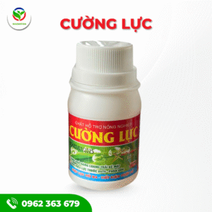 CƯỜNG LỰC