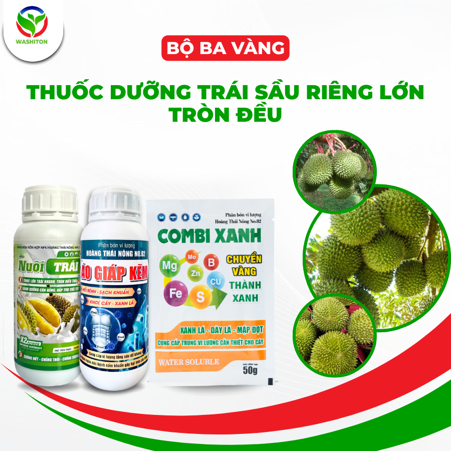 THUỐC DƯỠNG TRÁI SẦU RIÊNG LỚN TRÒN ĐỀU