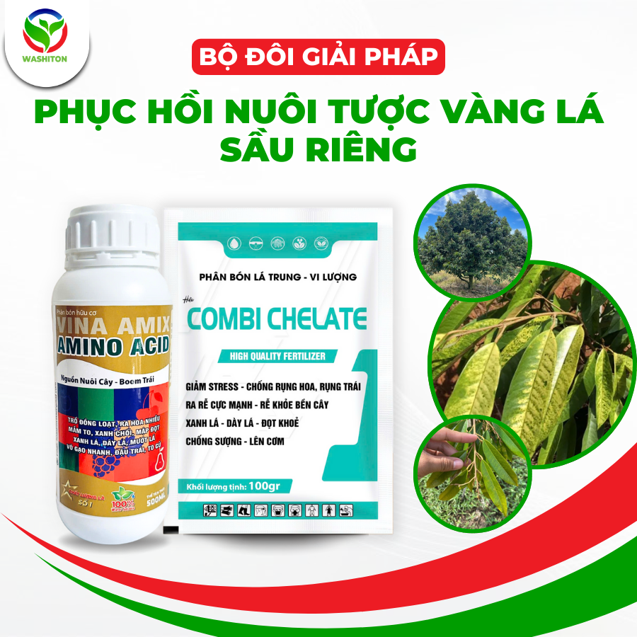 BỘ ĐÔI GIẢI PHÁP – PHỤC HỒI NUÔI TƯỢC, VÀNG LÁ SẦU RIÊNG