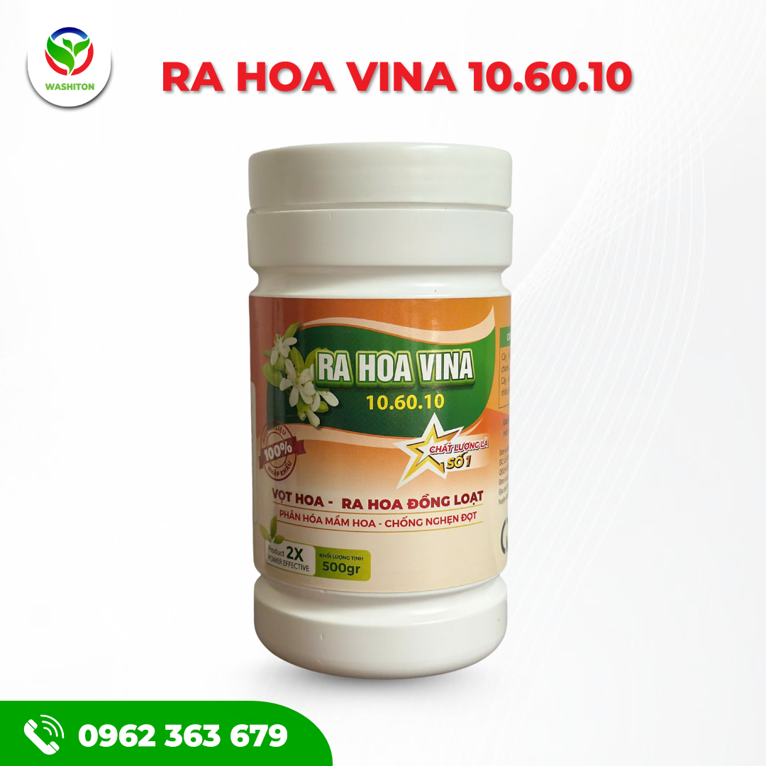 RA HOA VINA 10.60.10