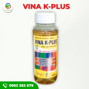 VINA K-PLUS