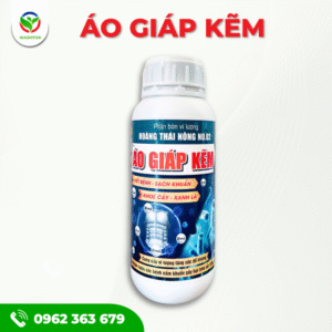 Áo giáp kẽm - THUỐC DƯỠNG TRÁI SẦU RIÊNG LỚN TRÒN ĐỀU