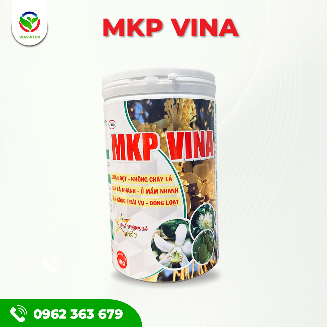 MKP VINA