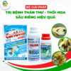 TRỊ BỆNH THÁN THƯ - THỐI HOA SẦU RIÊNG HIỆU QUẢ