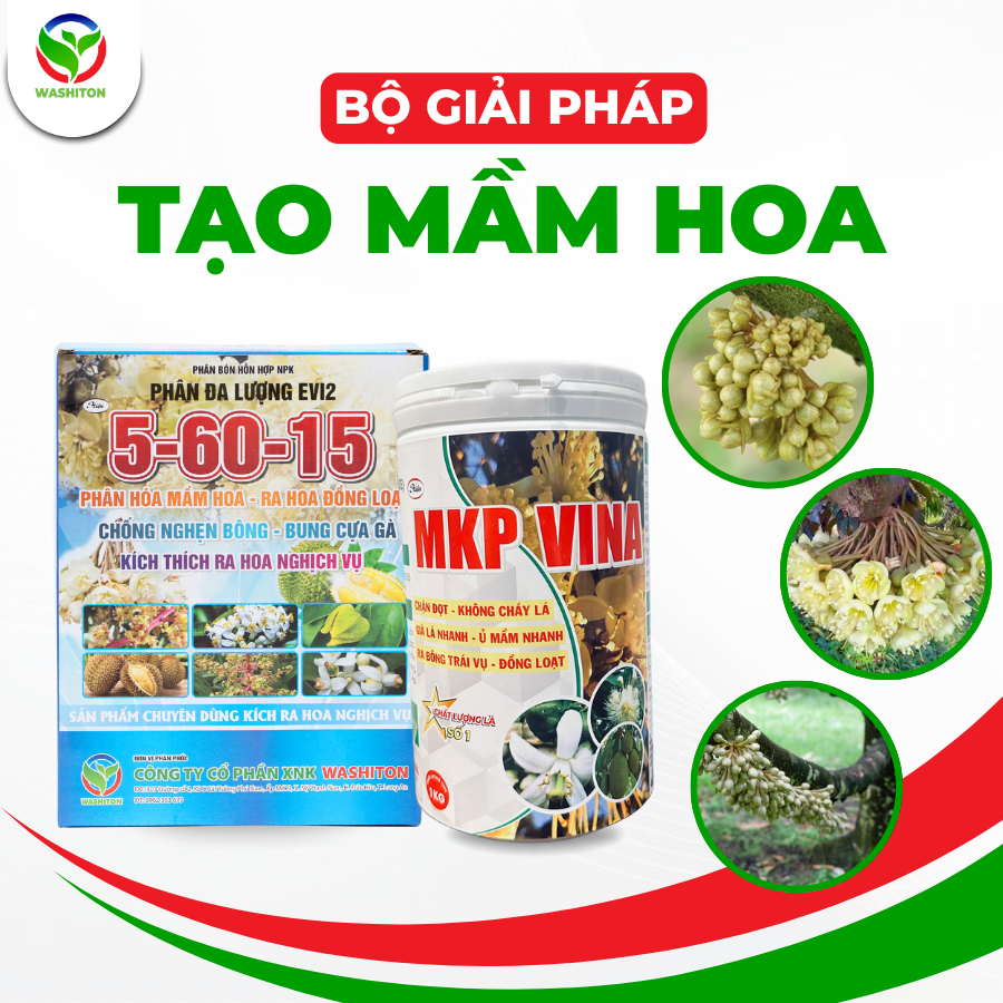 Thuốc xịt tạo mầm Sầu Riêng