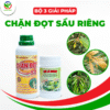Thuốc Chặn đọt Sầu Riêng