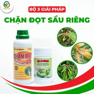 Bộ Giải Pháp Chặn đọt Sầu Riêng - Washiton
