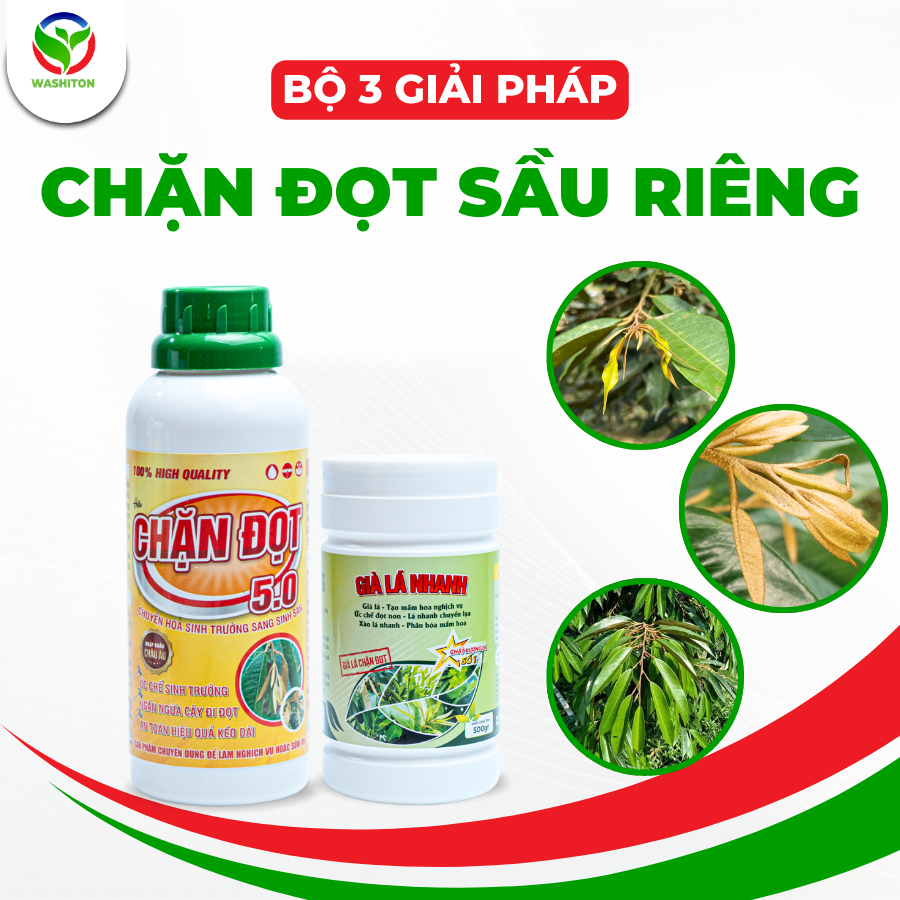 Thuốc Chặn đọt Sầu Riêng