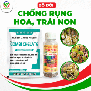 thuốc chống rụng trái non sầu riêng