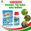 Thuốc nấm sầu riêng