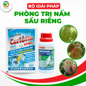 Thuốc nấm sầu riêng
