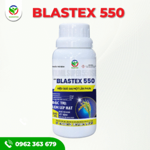 BLASTEX 550 - BỘ ĐÔI GIẢI PHÁP - CỨNG CÂY, CỨNG LÁ, NGỪA ĐẠO ÔN
