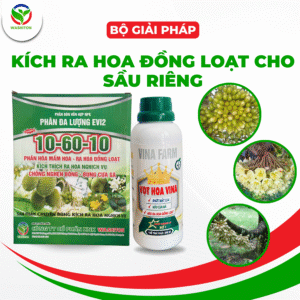 BỘ SẢN PHẨM KÍCH RA HOA ĐỒNG LOẠT SẦU RIÊNG