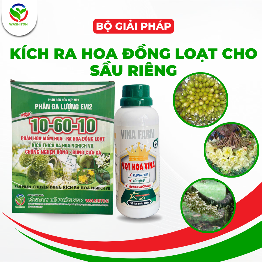 BỘ SẢN PHẨM KÍCH RA HOA ĐỒNG LOẠT SẦU RIÊNG