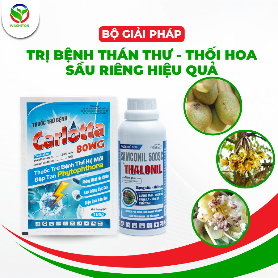 BỘ GIẢI PHÁP TRỊ THÁN THƯ, BỆNH THỐI HOA SẦU RIÊNG HIỆU QUẢ