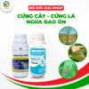 BỘ ĐÔI GIẢI PHÁP - CỨNG CÂY, CỨNG LÁ, NGỪA ĐẠO ÔN