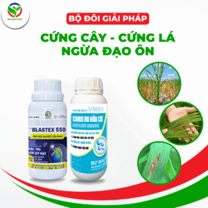 BỘ ĐÔI GIẢI PHÁP - CỨNG CÂY, CỨNG LÁ, NGỪA ĐẠO ÔN